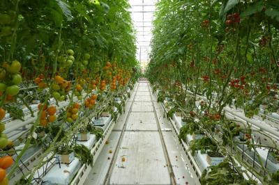 Foto des Albums: 2013  Zweitagesfahrt ins Emsland