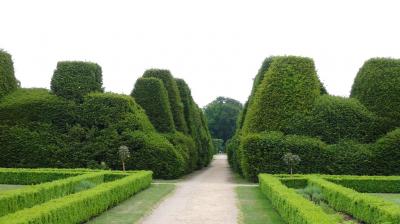 Foto des Albums: 2013  Zweitagesfahrt ins Emsland