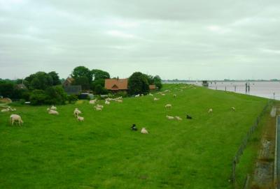 Foto des Albums: 2013  Zweitagesfahrt ins Emsland
