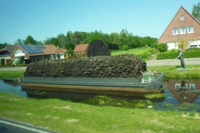 Foto des Albums: 2013  Zweitagesfahrt ins Emsland