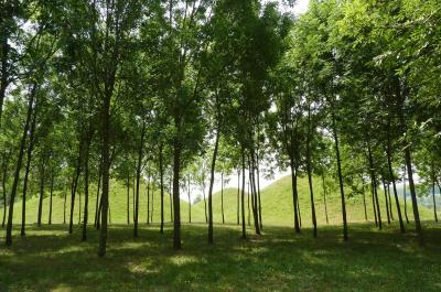 Foto des Albums: Konzertreise ins Saarland