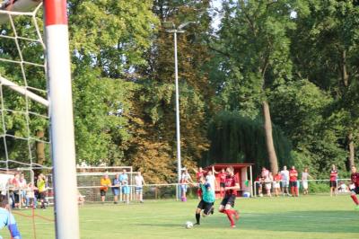 Foto des Albums: 9. Sommercup