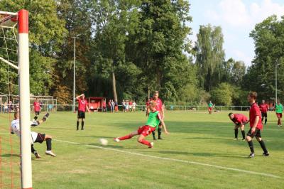 Foto des Albums: 9. Sommercup