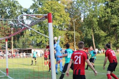 Foto des Albums: 9. Sommercup