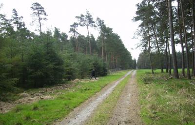 Foto des Albums: Boßeltour 2011