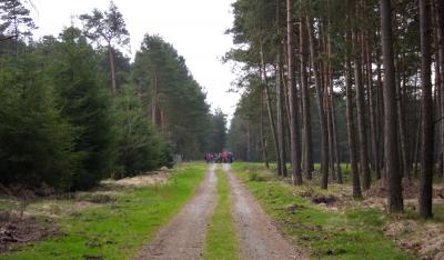 Foto des Albums: Boßeltour 2011