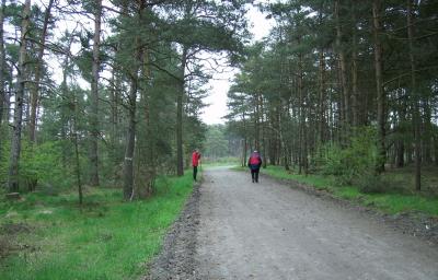 Foto des Albums: Boßeltour 2011