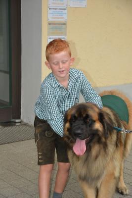 Foto des Albums: Volksfest 2018