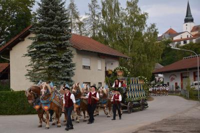 Foto des Albums: Volksfest 2018