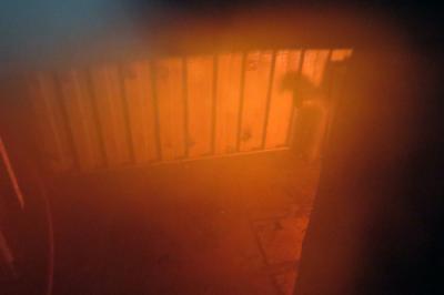 Foto des Albums: Übung im Brandgewöhnungscontainer
