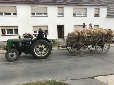 Foto des Albums: Festumzug in Wehnsdorf