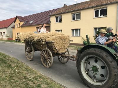 Foto des Albums: Festumzug in Wehnsdorf