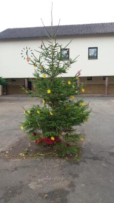 Foto des Albums: Fotos der "Betreuung" (2018/19)