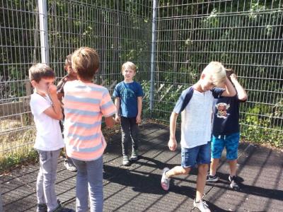 Foto des Albums: Fotos der "Betreuung" (2018/19)