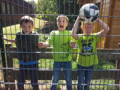 Foto des Albums: Fotos der "Betreuung" (2018/19)