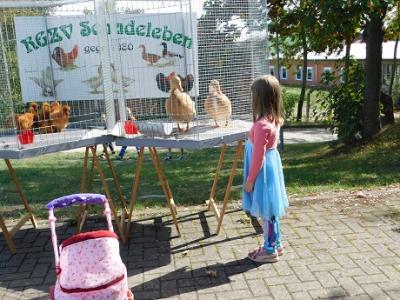 Foto des Albums: Fest der Vereine OT Schadeleben 2018