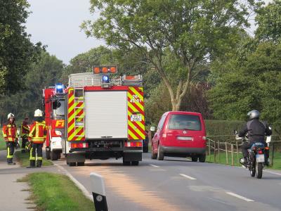 Sonntag: Einsatz auf der L 109 (&Ouml;lspur beseitigen) 