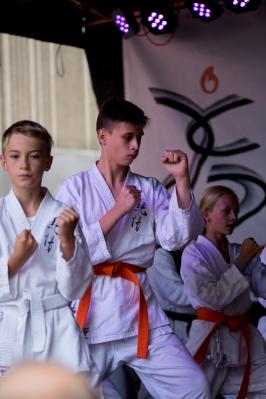 Chudan Kamae 