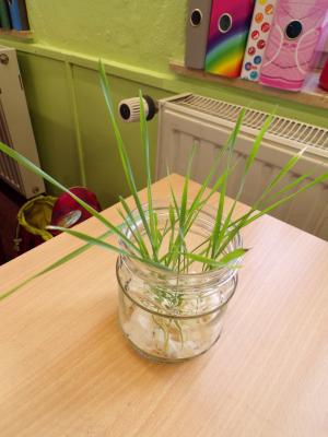 Foto des Albums: Vom Korn zum Brot