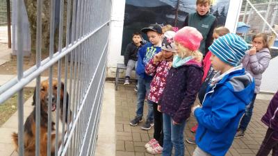 Foto des Albums: Projektwoche der Klassen 1-4