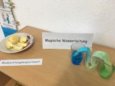 Foto des Albums: Projektwoche der Klassen 1-4
