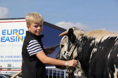 Foto des Albums: MeLa 2018 in Mühlengeez und ganz junge Preisträger