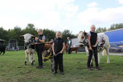 Foto des Albums: MeLa 2018 in Mühlengeez und ganz junge Preisträger