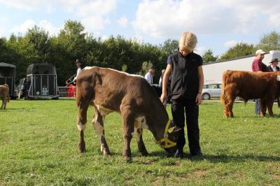 Foto des Albums: MeLa 2018 in Mühlengeez und ganz junge Preisträger