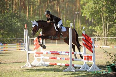 Foto des Albums: Turnier Schönberg 2018 - Prüfung 5 - Stilspring-Wettbewerb mit eZ mit Stechen (09.09.2018)