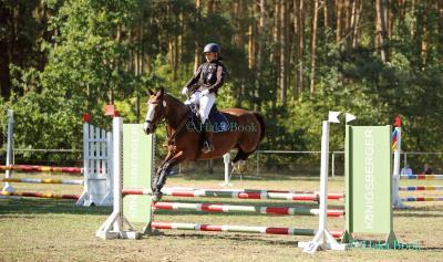 Foto des Albums: Turnier Schönberg 2018 - Prüfung 5 - Stilspring-Wettbewerb mit eZ mit Stechen (09.09.2018)