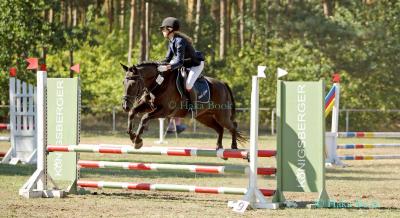 Foto des Albums: Turnier Schönberg 2018 - Prüfung 5 - Stilspring-Wettbewerb mit eZ mit Stechen (09.09.2018)