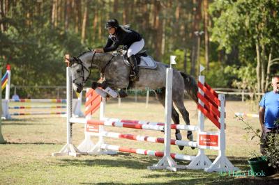 Foto des Albums: Turnier Schönberg 2018 - Prüfung 5 - Stilspring-Wettbewerb mit eZ mit Stechen (09.09.2018)