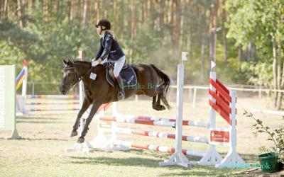 Foto des Albums: Turnier Schönberg 2018 - Prüfung 5 - Stilspring-Wettbewerb mit eZ mit Stechen (09.09.2018)