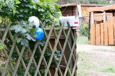 Foto des Albums: Familiensportfest "Geh um die Wurst"