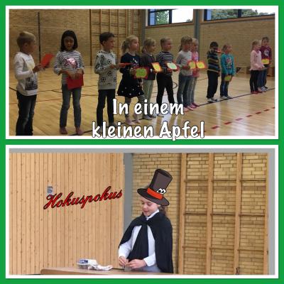 Foto des Albums: Herbstforum