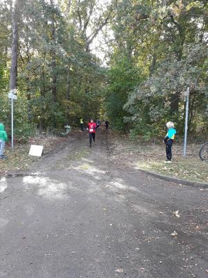 Foto des Albums: Ueckermünder Herbstcross