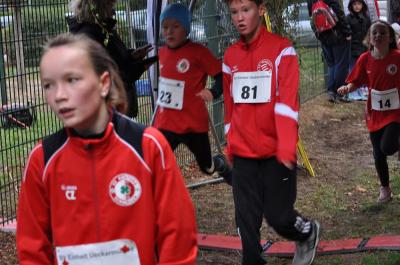 Foto des Albums: Ueckermünder Herbstcross
