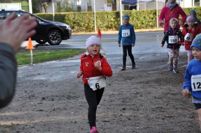 Foto des Albums: Ueckermünder Herbstcross