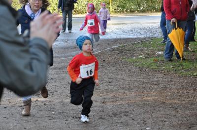 Foto des Albums: Ueckermünder Herbstcross