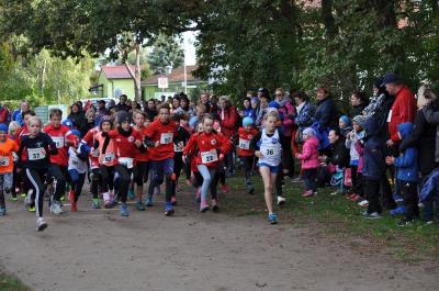 Foto des Albums: Ueckermünder Herbstcross