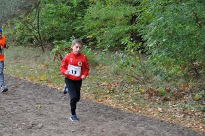 Foto des Albums: Ueckermünder Herbstcross