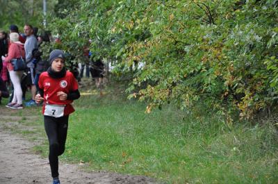 Foto des Albums: Ueckermünder Herbstcross