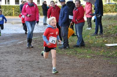 Foto des Albums: Ueckermünder Herbstcross
