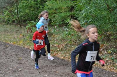 Foto des Albums: Ueckermünder Herbstcross