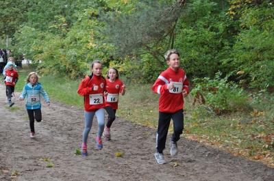 Foto des Albums: Ueckermünder Herbstcross