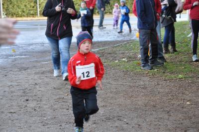 Foto des Albums: Ueckermünder Herbstcross