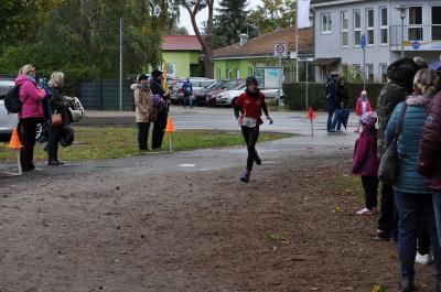 Foto des Albums: Ueckermünder Herbstcross