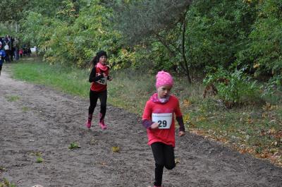 Foto des Albums: Ueckermünder Herbstcross