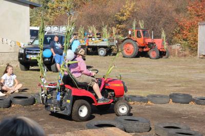 Foto des Albums: Erntefest 2018 (13.10.2018)