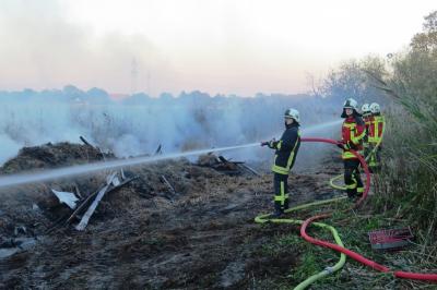 Foto des Albums: Einsatz FEU K - brennt größerer Reethaufen
